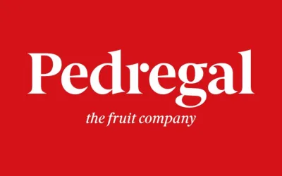 EL PEDREGAL S.A.